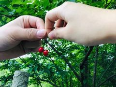 -南山风景名胜区