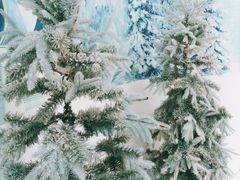 -赤马湖体育滑雪