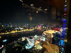 -金轩中餐厅 Jin Xuan(浦东丽思卡尔顿酒店)