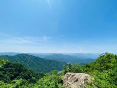 -王顺山国家森林公园
