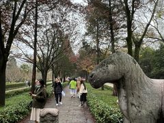 -紫金山山顶公园