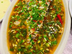 -飞虹鱼馆(春华路店)