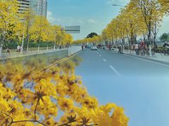 -洲头咀公园