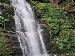 -中国大熊猫保护研究中心雅安碧峰峡基地