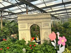 -南宫五洲植物乐园