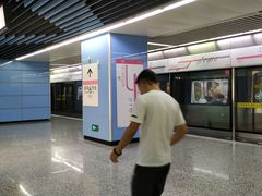 -大龙山(地铁站)