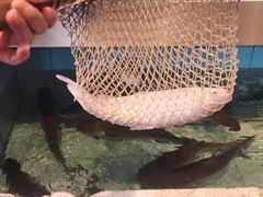 -金百门·顺德海鲜酒家(陈村店)