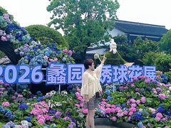 -无锡蠡湖国家湿地公园-蠡园
