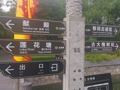 -大槐树寻根祭祖园