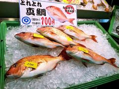 -海鮮寿司とれとれ市場