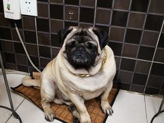 -双冰面馆(茶南店)