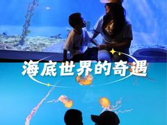 -太平洋海底世界