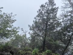 -武当山风景区
