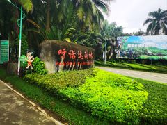 -呀诺达热带雨林