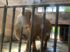 -石家庄市动物园