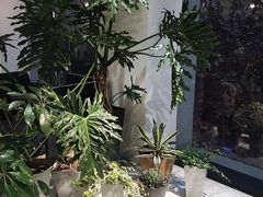 -CAFE'IN精品咖啡体验空间(小寨店)