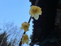 -月坛公园