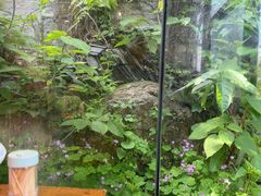 -树厨贵州菜(铜仁花果山店)