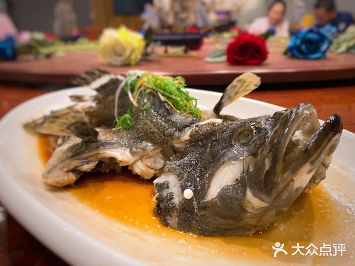 朝紅漁民風情山莊-清蒸石斑魚-菜-清蒸石斑魚圖片-湛江美食-大眾點評