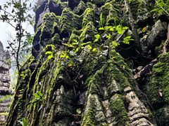 -梭布垭石林景区