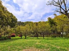 -苏州上方山国家森林公园
