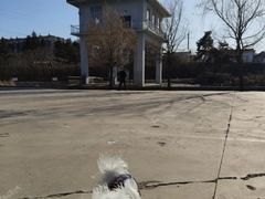 -鴜鹭湖生态旅游度假区