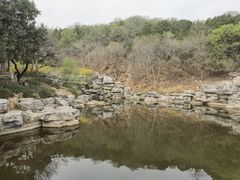 -北京西山国家森林公园