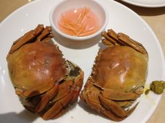 -威珀斯酒店·珀萃美食餐厅 | 海鲜刺身·现烤生蚝·特色烤肉