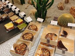 -OUR Bakery(SKP-S店)