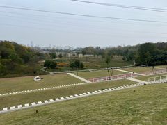 -佛手湖郊野公园