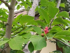 -金石唐风国际温泉会馆