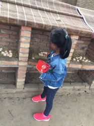 -上美四季动物农场