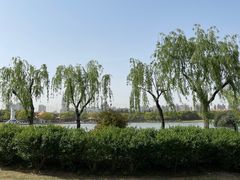 -黄兴公园
