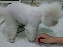 -佳雯宠物医院(金华南路分院)