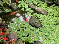 -园林美食城·本土农家菜(杨和镇店)