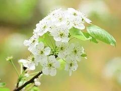 -江苏三台山国家森林公园