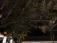 -苏乡兰亭·新派淮扬菜(吾悦广场店)