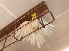 -海银海记潮汕牛肉火锅(新港中路海珠店)