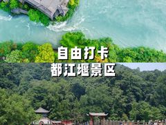 -都江堰中华大熊猫苑