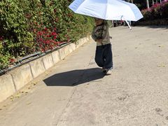 -西双版纳原始森林公园