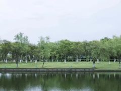 -院士公园
