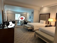 -澳门威尼斯人综合度假区