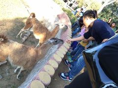 -石家庄市动物园