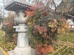 -法门文化景区