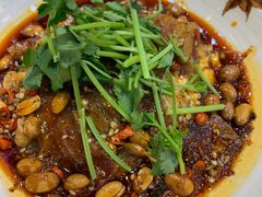 -易老妈蹄花.特色川菜(人民公园总店)