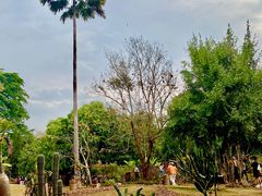 -中国科学院西双版纳热带植物园