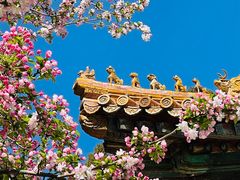 -故宫博物院(故宫)