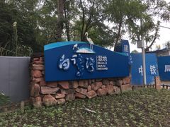 -白鹭湾湿地公园