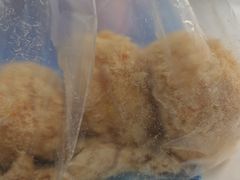柠檬小贝-鲍师傅糕点(虹口龙之梦店)