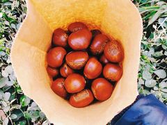 -秋栗香(地安门店)